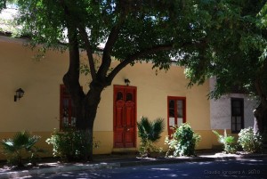 DSC_5484 (1)